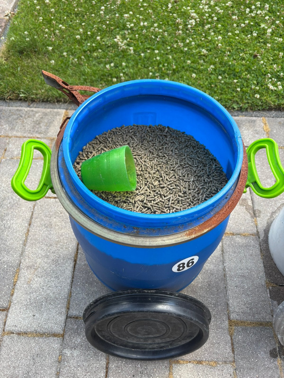 Accessoires Konijn, Mannelijk, Groot