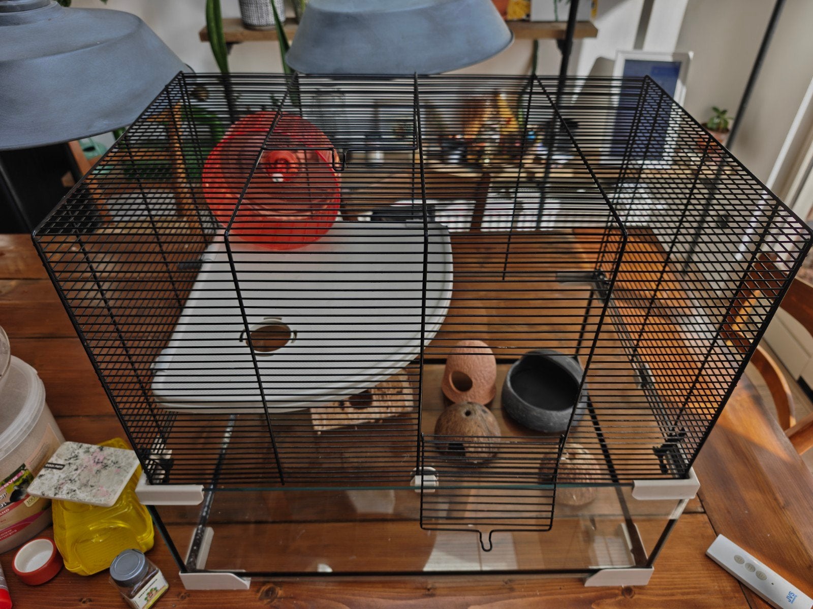 hamster kooi met accessoires, Dieren en Toebehoren, Kooi, Minder dan 75 cm, Hamster, Ophalen
