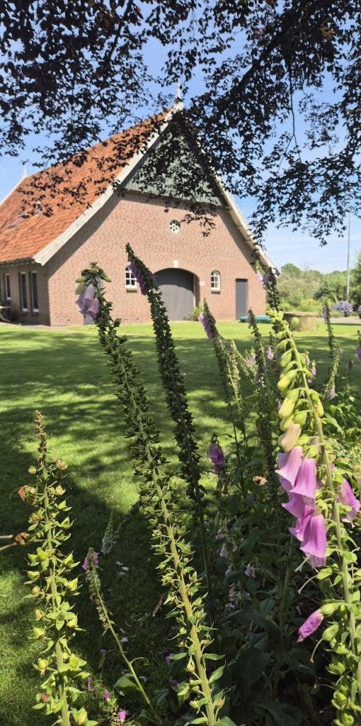 Vakantiewoning te huur  5 persoons Bornerbroek, Vakantie, Vakantiehuizen | Nederland, 5 personen, In bos, Overige typen, Overijssel