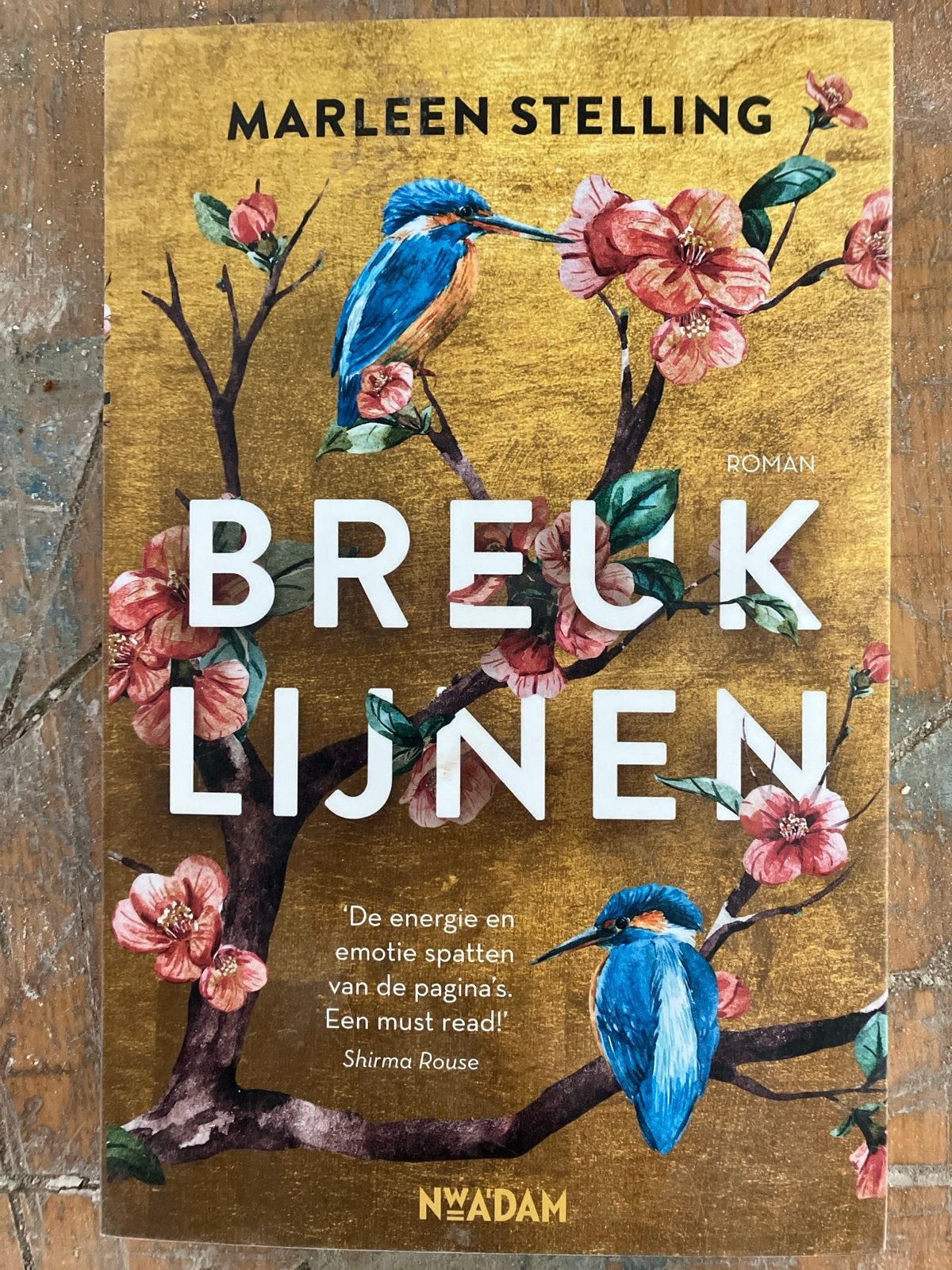 Breuklijnen - Marleen Stelling (Roman), Ophalen of Verzenden, Zo goed als nieuw, Nederland