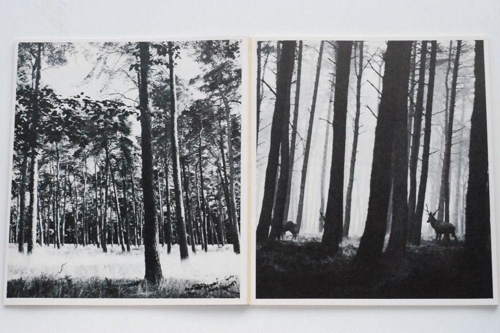De Hoge Veluwe - Fotoboek (1973), Boeken, Wandel- of Recreatiegebieden, Verzenden, Zo goed als nieuw, David van Dijk, Wim Alings