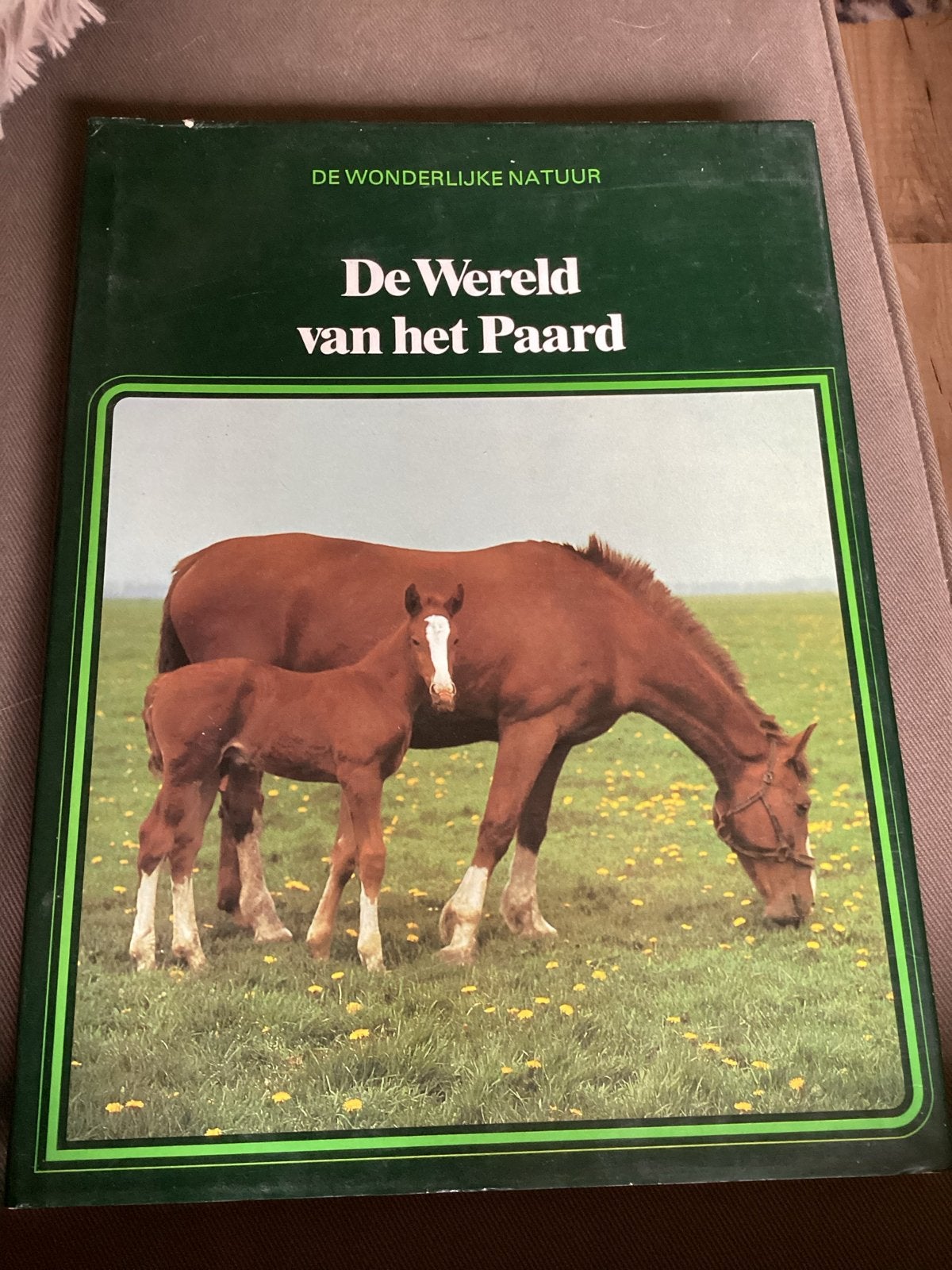 Twee paardenboeken: De Wereld van het Paard & Paardenencyclo, Ophalen of Verzenden, Gelezen, Dieren, Los deel