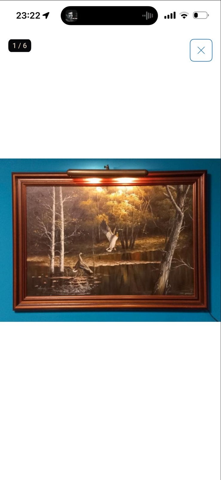 Olieverfschilderij Eenden in Landschap met Berken, Antiek en Kunst, Doek, Realistisch, Ophalen of Verzenden, Landschap