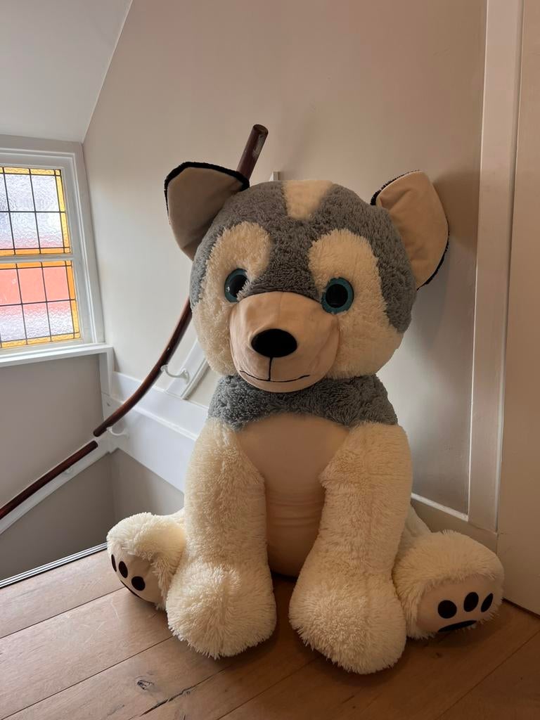 Grote knuffel Husky blauwe ogen 80 vm, Ophalen, Gebruikt, Overige typen