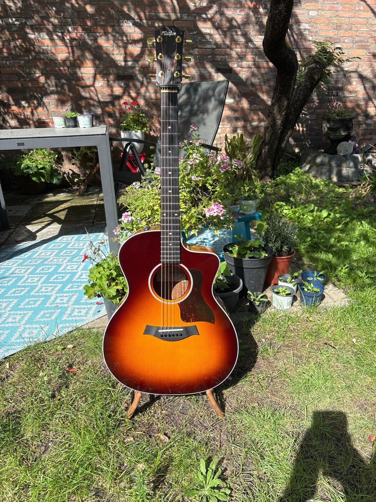 Taylor 214ce-K DLX Western gitaar met element (luxe editie), Ophalen of Verzenden, Zo goed als nieuw, Western- of Steelstringgitaar