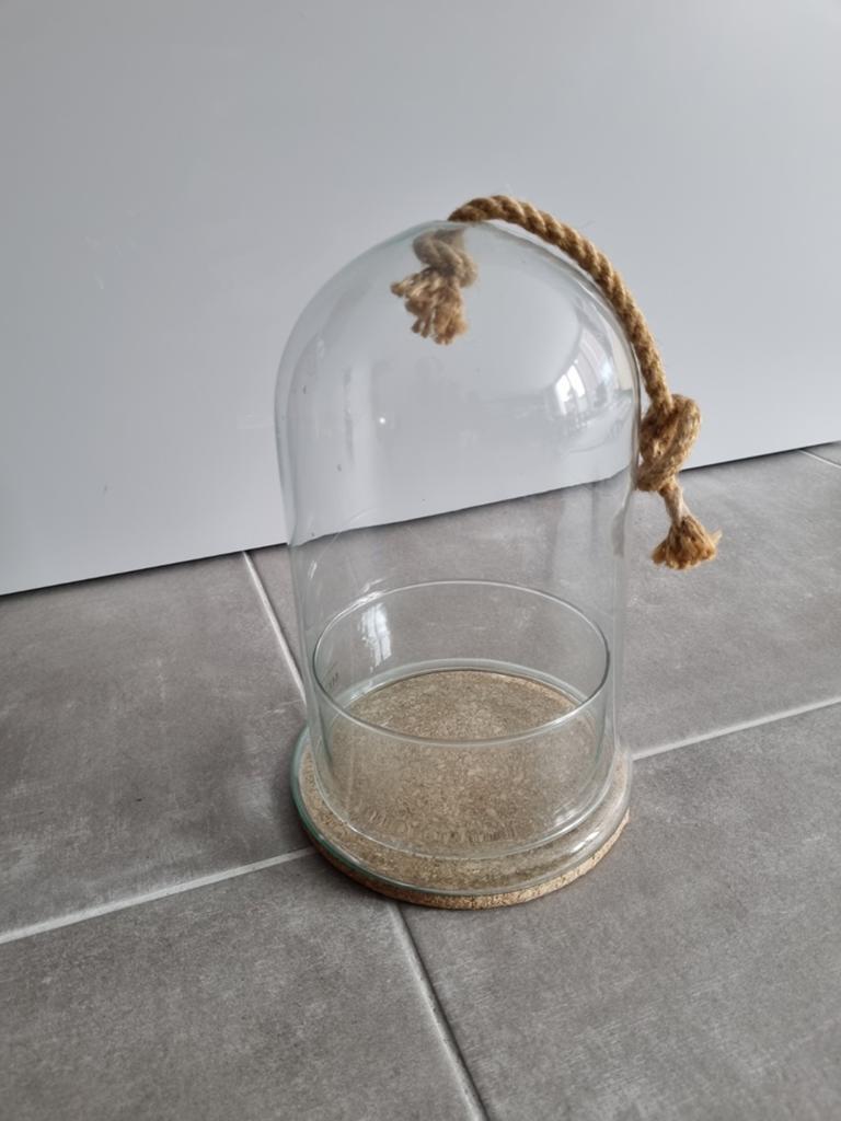Glazen stolp - terrarium planten, Ophalen, Zo goed als nieuw
