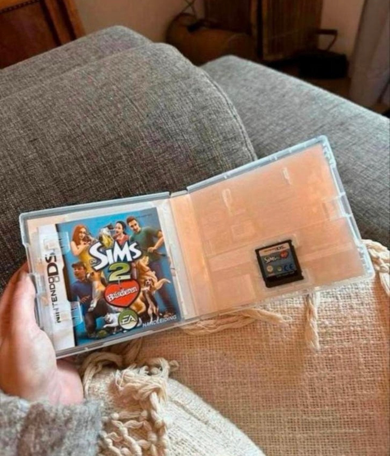 The Sims 2 – Nintendo DS – compleet met hoes en boekje, 1 speler, Ophalen of Verzenden, Zo goed als nieuw, Vanaf 7 jaar