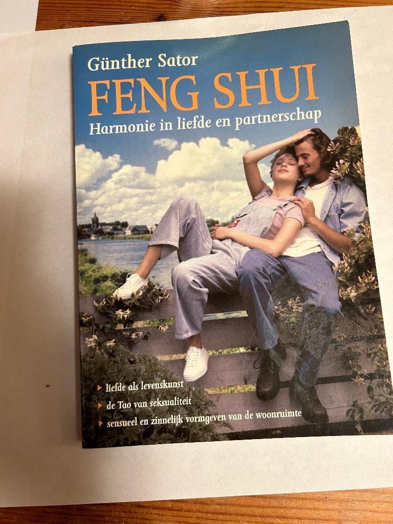 Feng Shui Harmonie in liefde en partnerschap, Ophalen of Verzenden, Zo goed als nieuw, Tarot of Kaarten leggen, Overige typen
