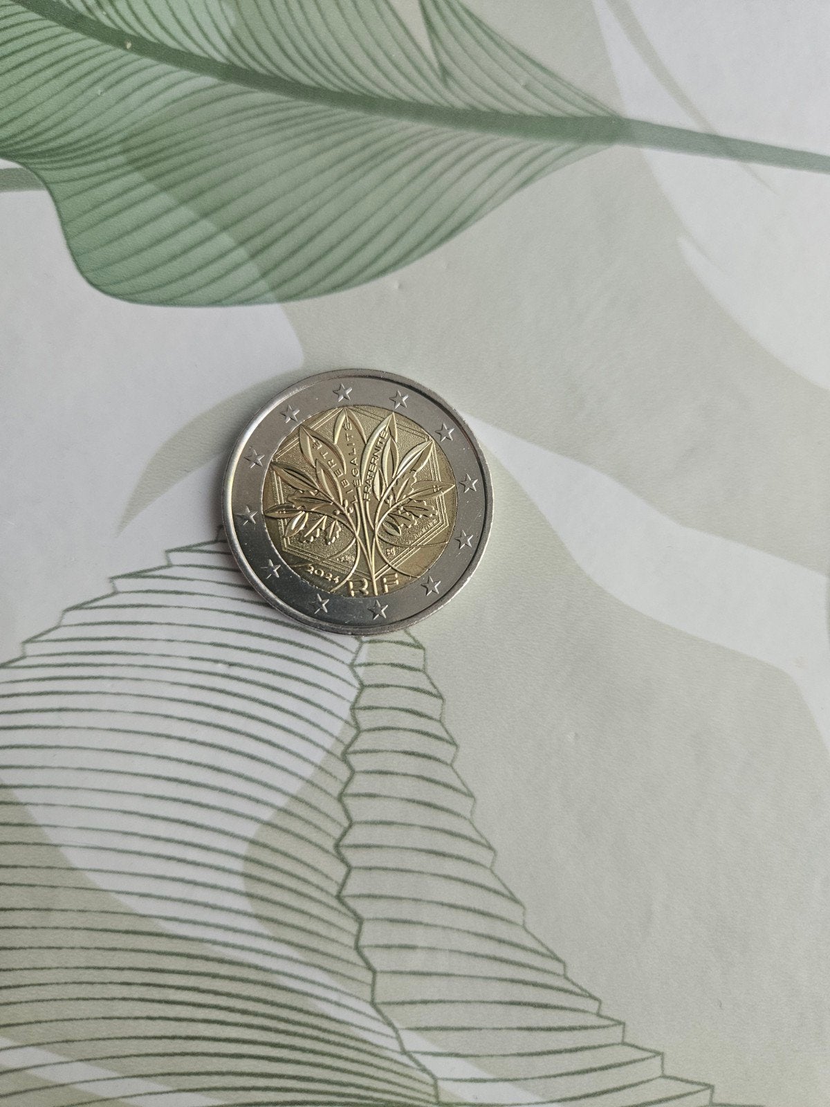 2 Euro munt Frankrijk 2024, Postzegels en Munten, Munten | Europa | Euromunten, Ophalen of Verzenden, Frankrijk, 2 euro, Losse munt