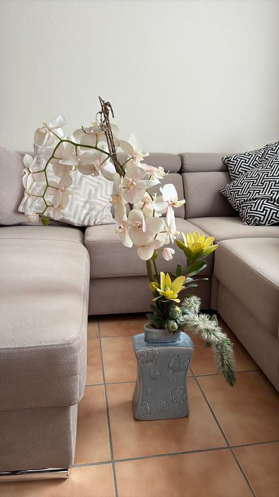 Neppe orchideeën in pot, Ophalen, Zo goed als nieuw