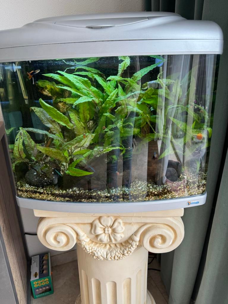 Aquarium, Ophalen, Superfish, Inclusief toebehoren, Gevuld zoetwateraquarium