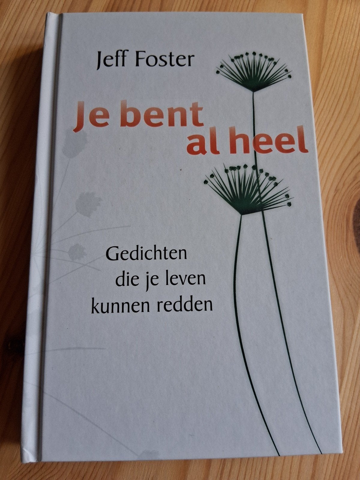 Jeff Foster - Je bent al heel, Ophalen of Verzenden, Zo goed als nieuw, Jeff Foster