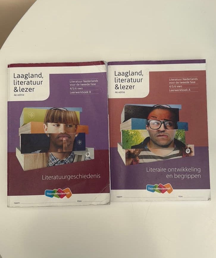 Laagland literatuur & lezer Nederlands boeken, Boeken, Ophalen of Verzenden, Zo goed als nieuw, VWO, Nederlands
