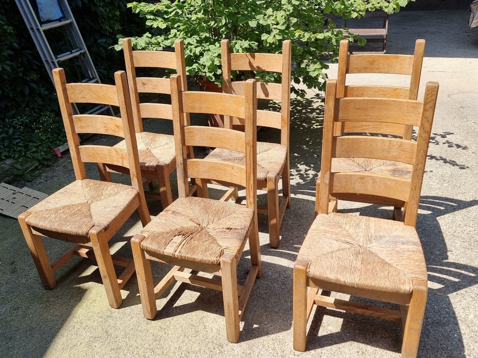 6 Massief Eiken Eetkamer Stoelen met Originele Biezen, Gebruikt, Bruin, Ophalen of Verzenden, Vijf, Zes of meer stoelen
