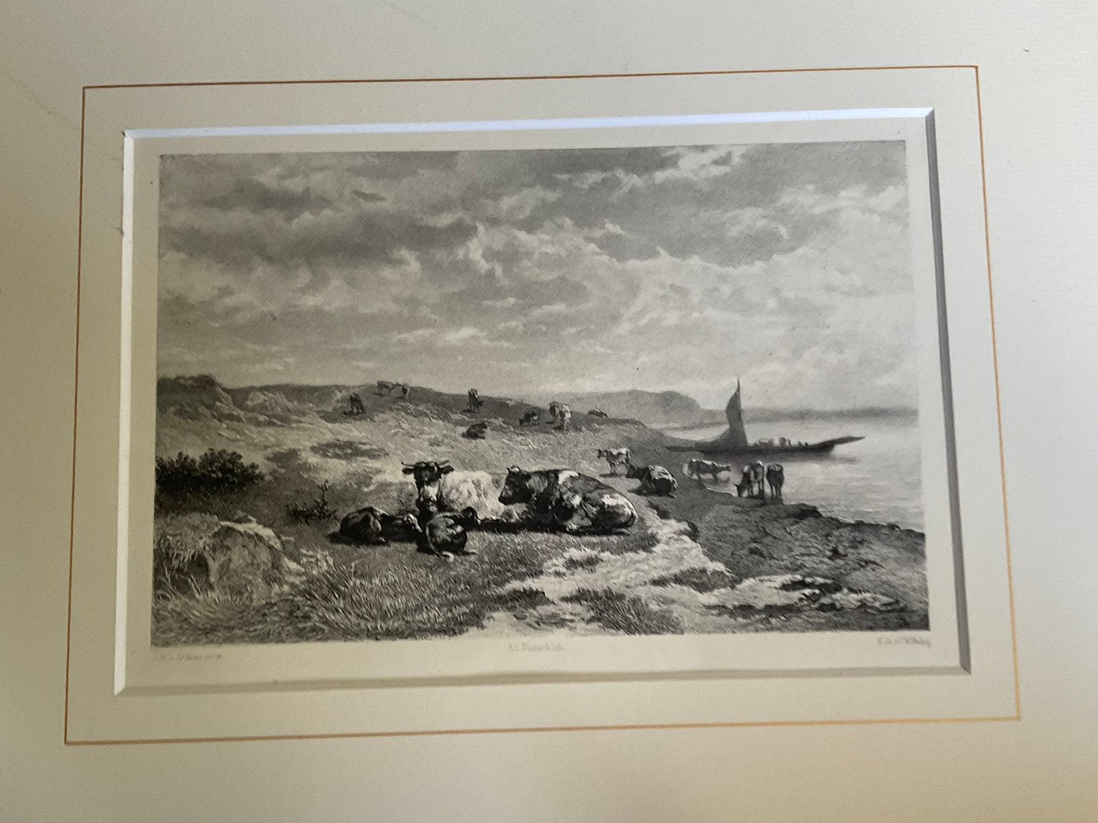 Koeien gravure, Ophalen of Verzenden