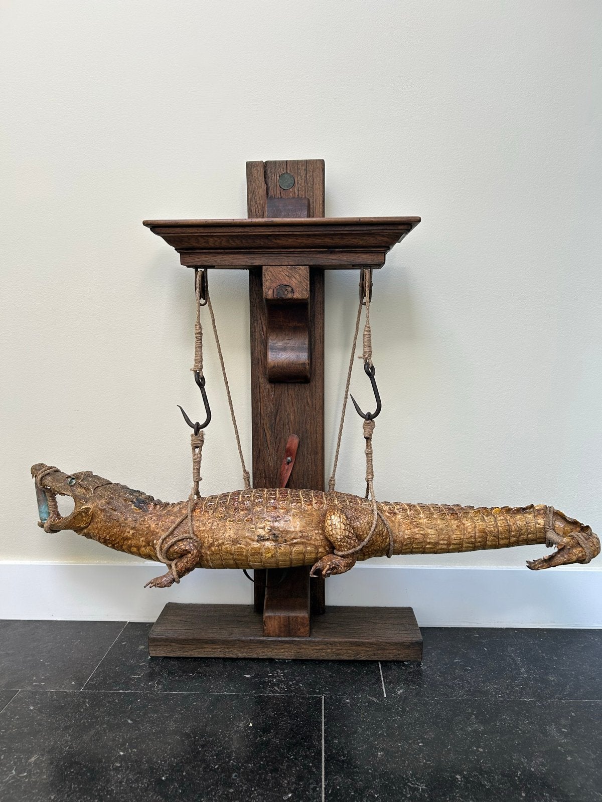 Opgezette Krokodil/Kaaiman op Houten Constructie, Ophalen