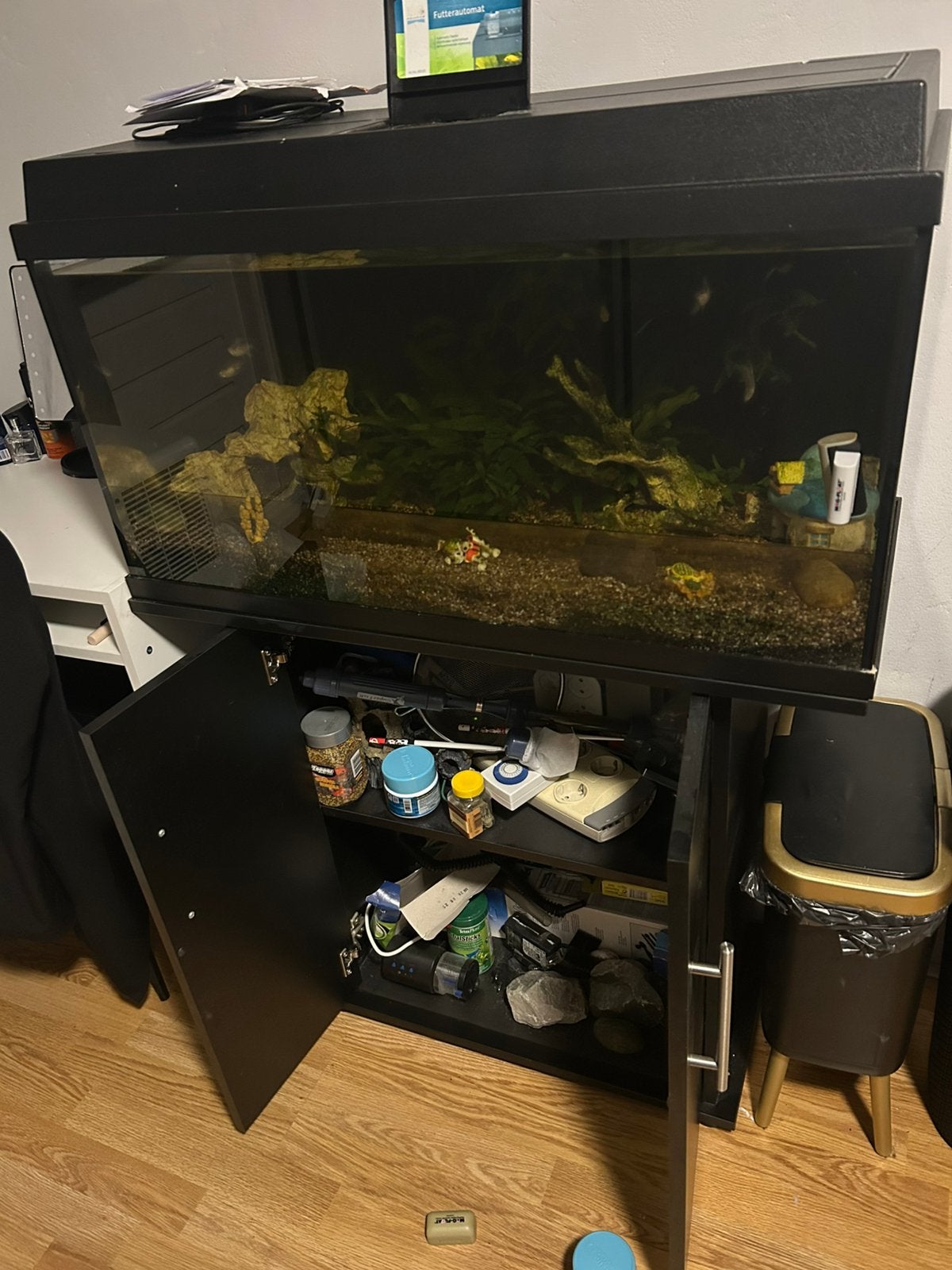 Compleet 100liter aquarium met veel vissen, Dieren en Toebehoren, Ophalen, Zo goed als nieuw, Gevuld zoetwateraquarium