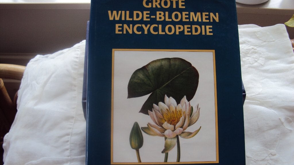 Grote wilde-bloemen encyclopedie, Boeken, Ophalen of Verzenden, Zo goed als nieuw, Xie omschrijving