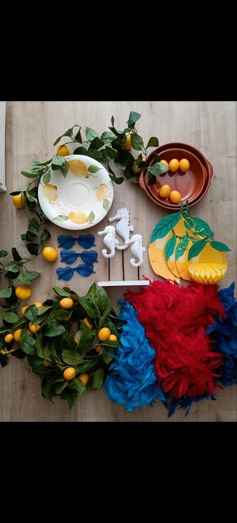 Feestdecoratie set: citroenen, zeepaardjes, boa, brillen, Ophalen of Verzenden, Gebruikt, Versiering, Verjaardag