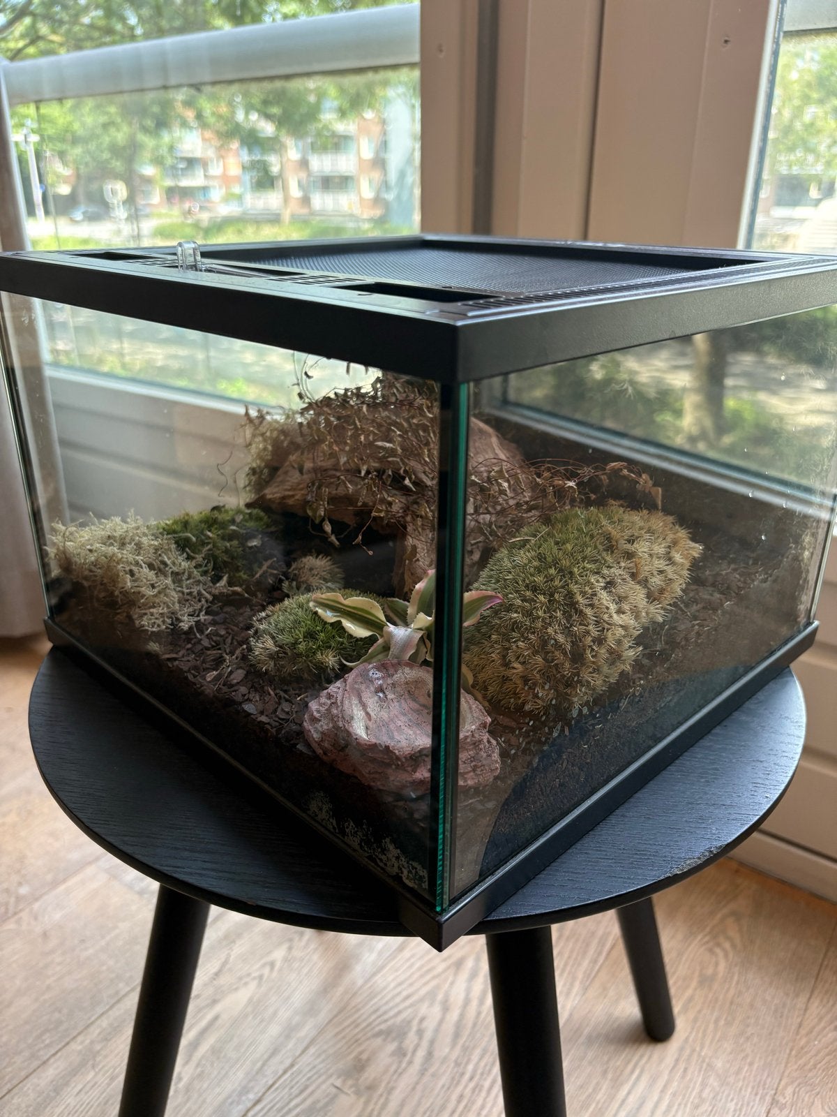 Terrarium 30x30x20 REPTO, Ophalen, Zo goed als nieuw