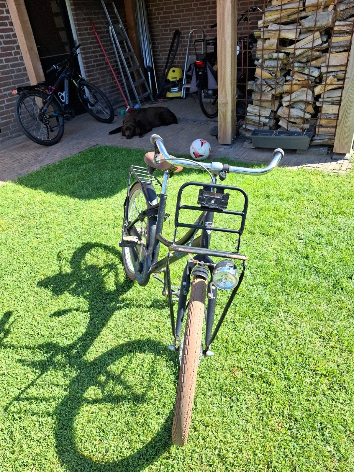 Meidenfiets (Alpina Cargo) 22 inch te koop, Fietsen en Brommers, Fietsen | Meisjes, Terugtraprem, 22 inch, Gebruikt, Ophalen of Verzenden