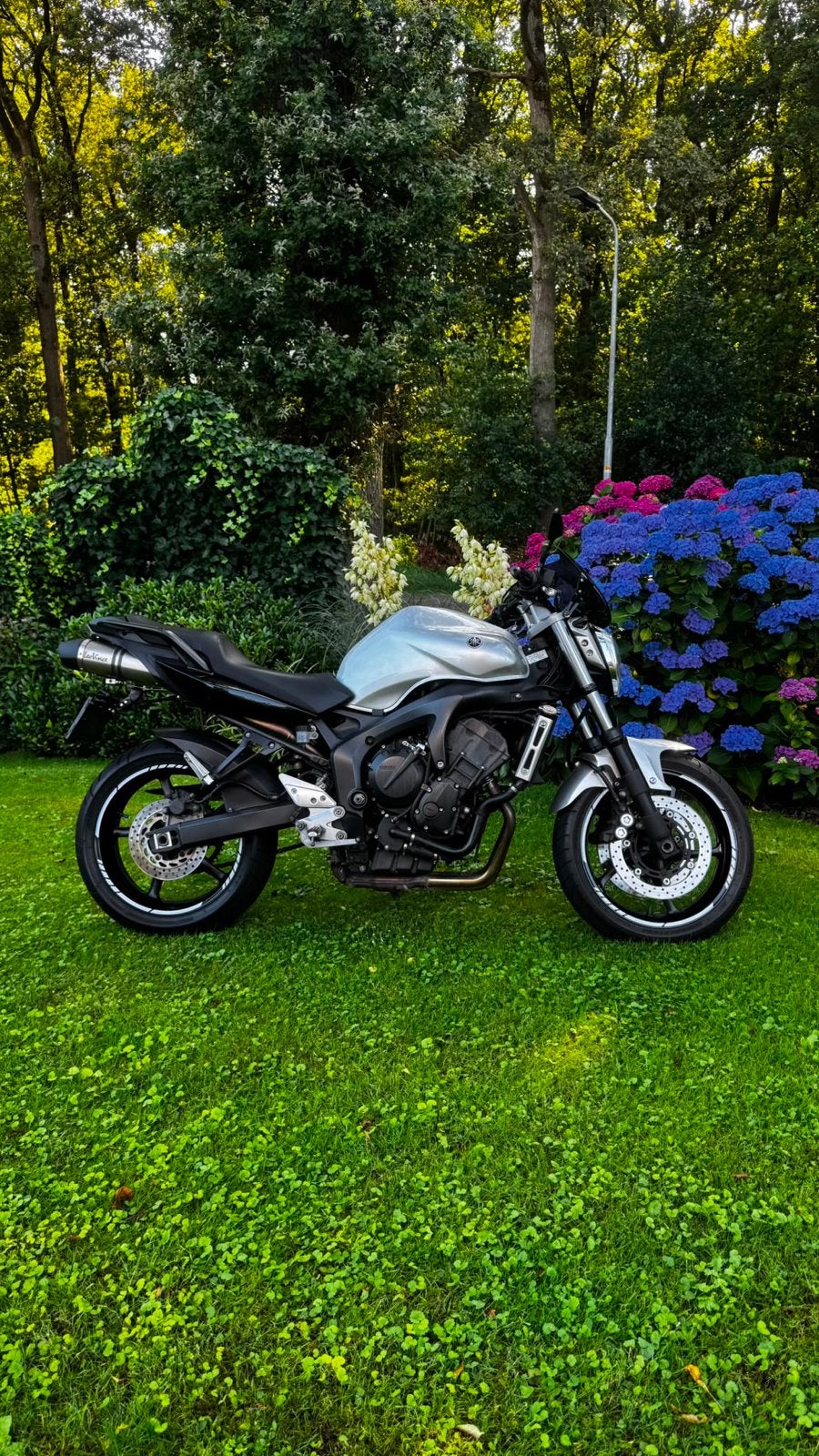Yamaha FZ6 S2 naked bike - Zwart/Grijs - Goed onderhouden, Motoren, 4 cilinders, Motorrijbewijs A, Gebruikt, Particulier