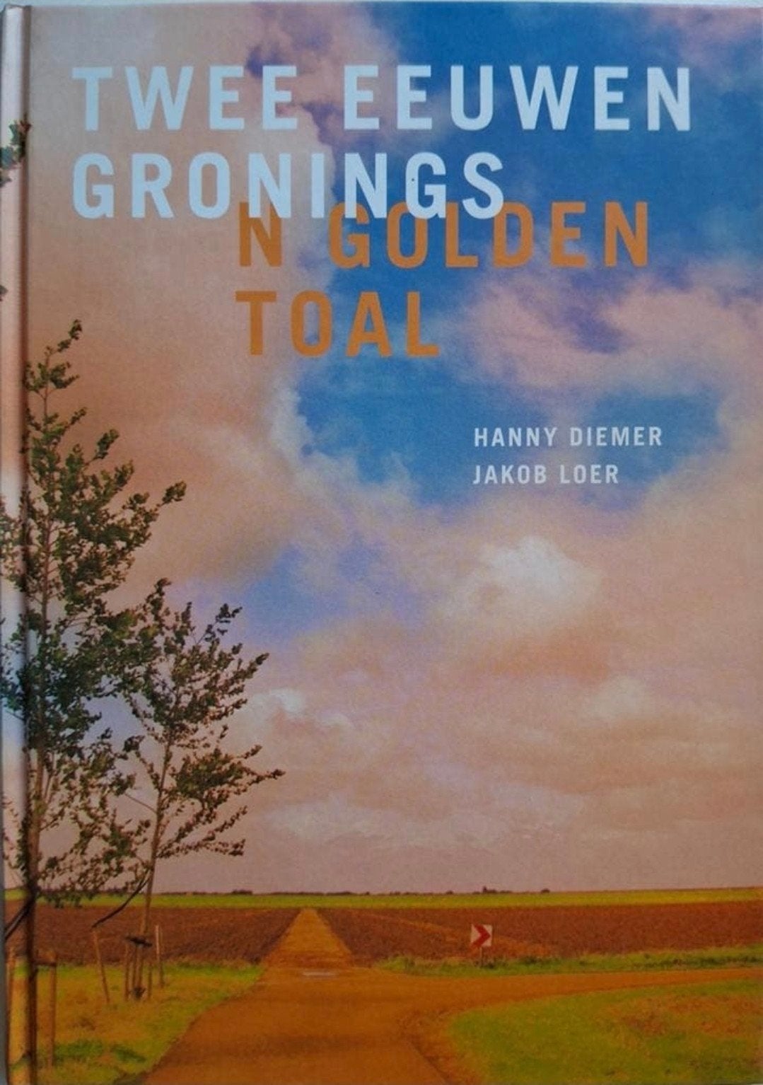 Twee eeuwen Gronings - N Golden toal, Boeken, Ophalen of Verzenden, Zo goed als nieuw, Hanny Diemer - Jakob Loer