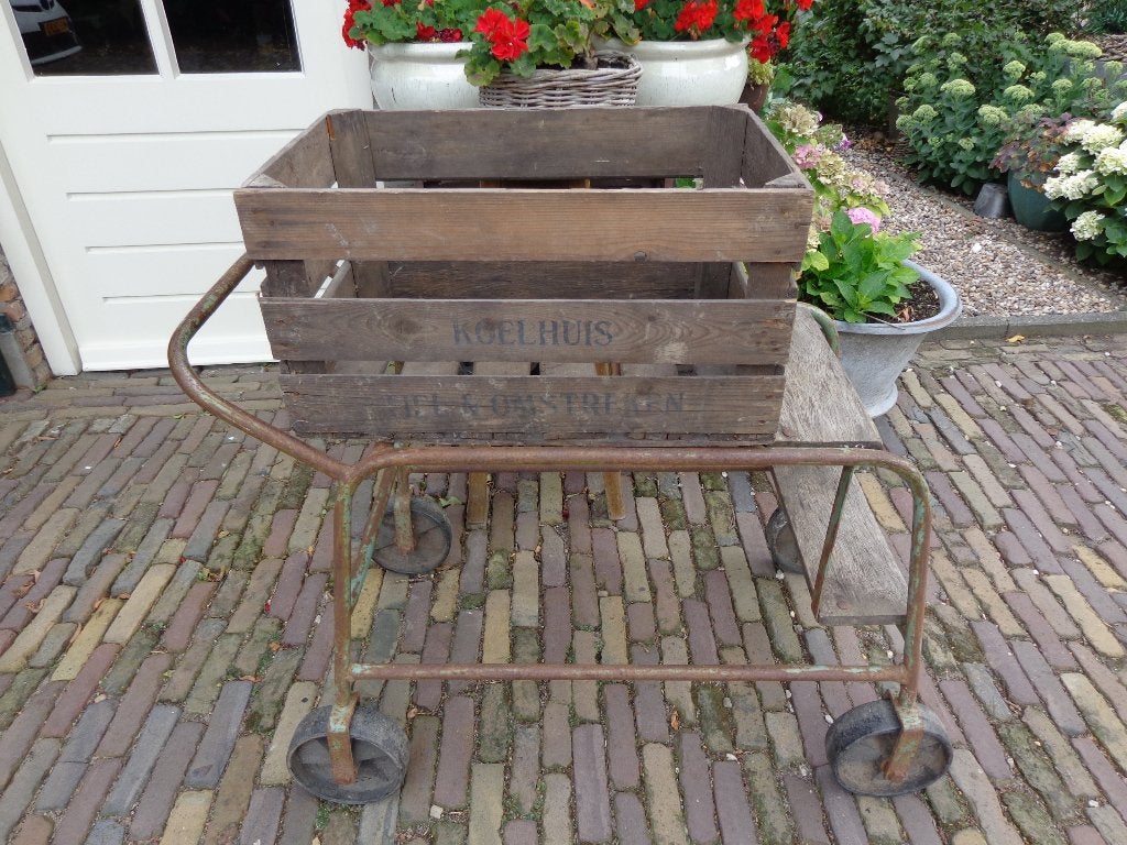 Nog enkele fruitkistjes en fruitkarren, Huis en Inrichting, Woonaccessoires | Kisten, Ophalen, Gebruikt, Minder dan 50 cm, 5 – 50
