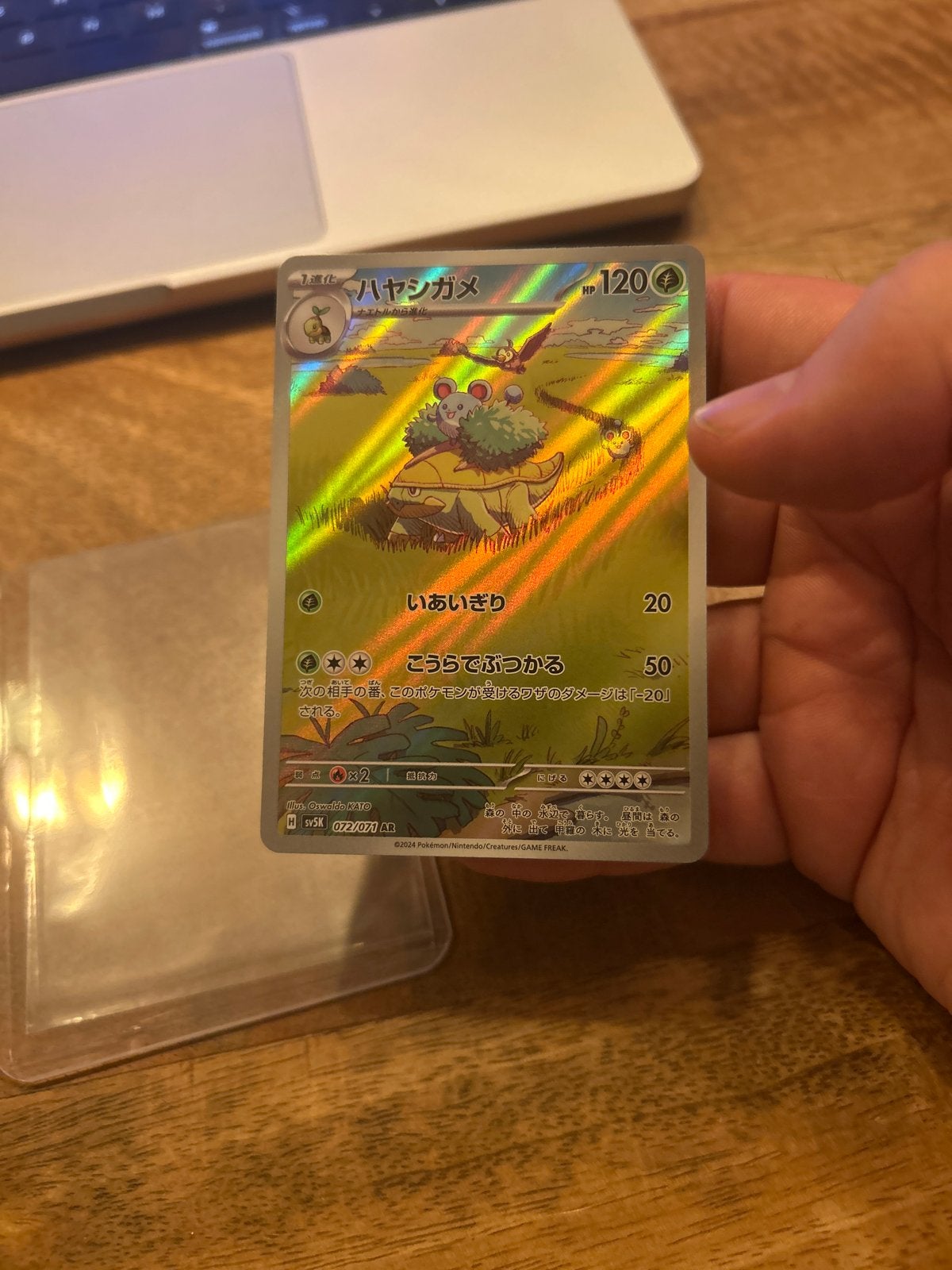 NM+ Grotle #072 (JP) Japanse Pokémon Kaart, Ophalen of Verzenden, Zo goed als nieuw, Losse kaart, Foil