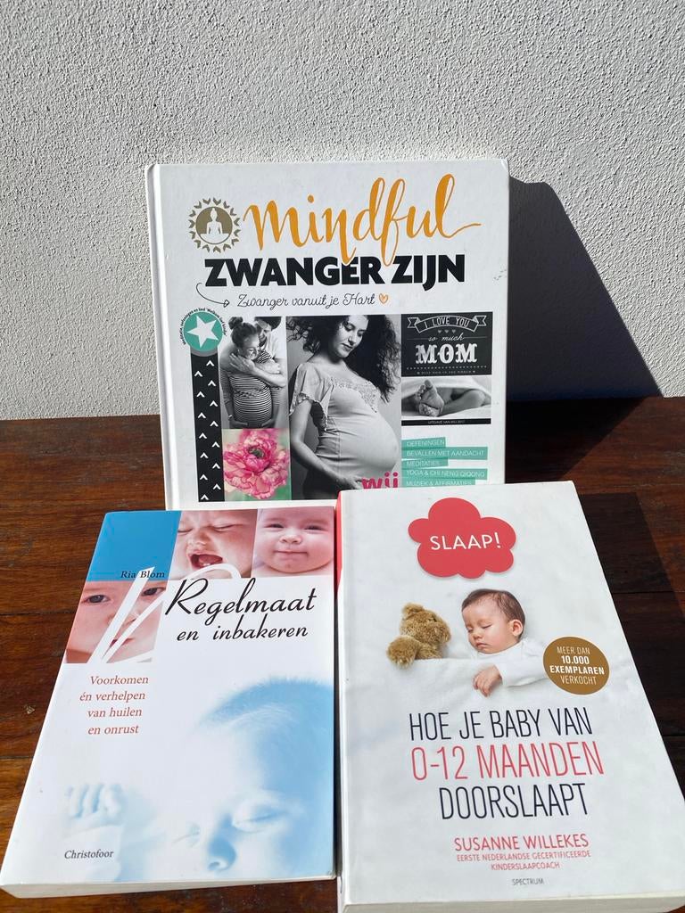 Slaap! Susanne willekes plus twee extra, Ophalen of Verzenden, Gelezen, Zwangerschap en Bevalling