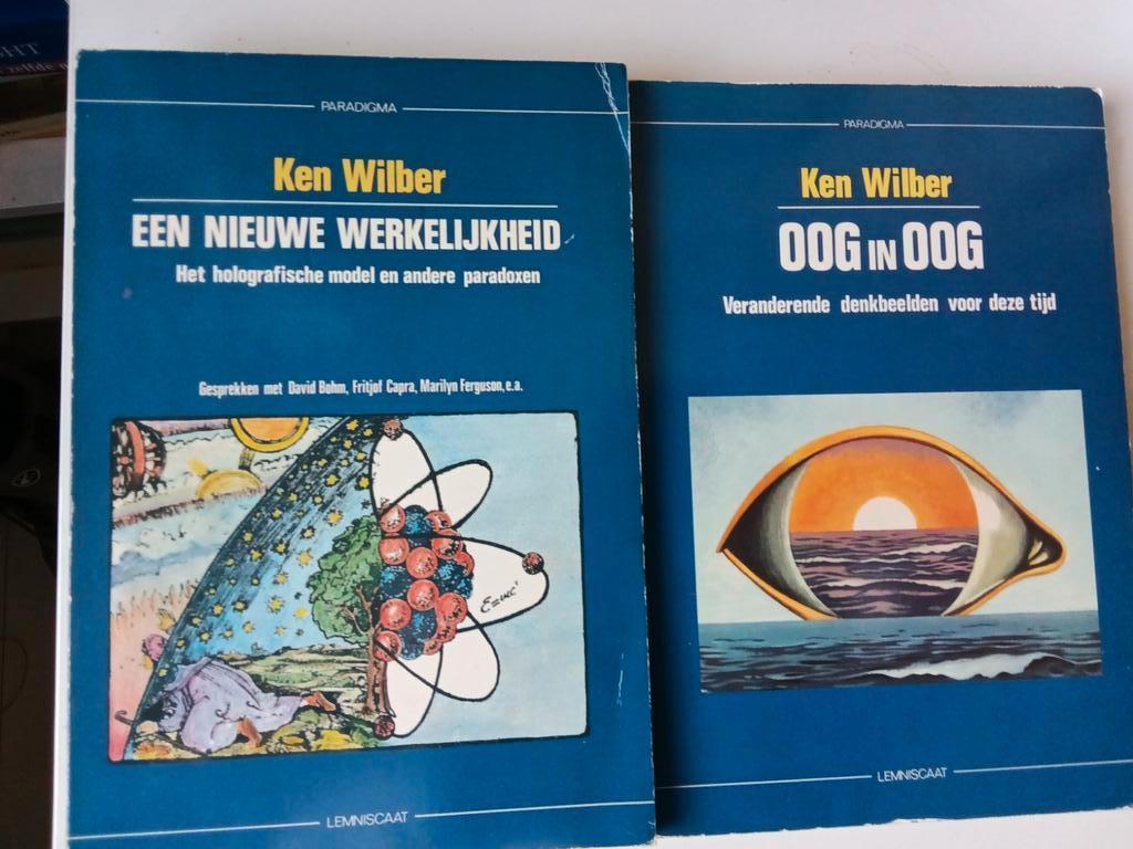 Ken Wilber Boeken: Een Nieuwe Werkelijkheid & Oog in Oog, Ophalen of Verzenden, Gelezen, Ken Wilber, Geesteswetenschap
