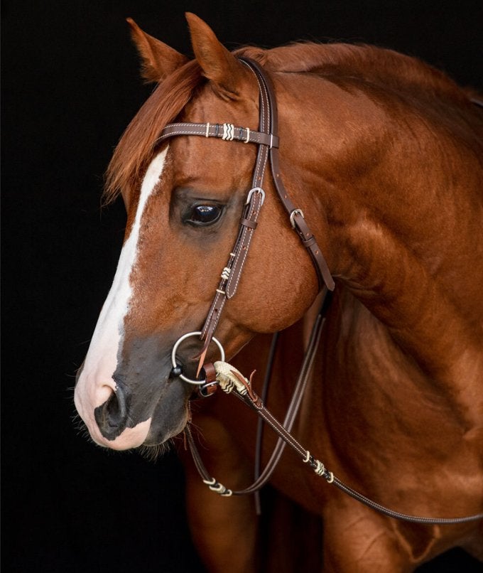 Western hoofdstel maat pony gezocht, Dieren en Toebehoren, Paarden en Pony's | Hoofdstellen en Tuigage, Hoofdstel, Bruin, Inclusief teugels