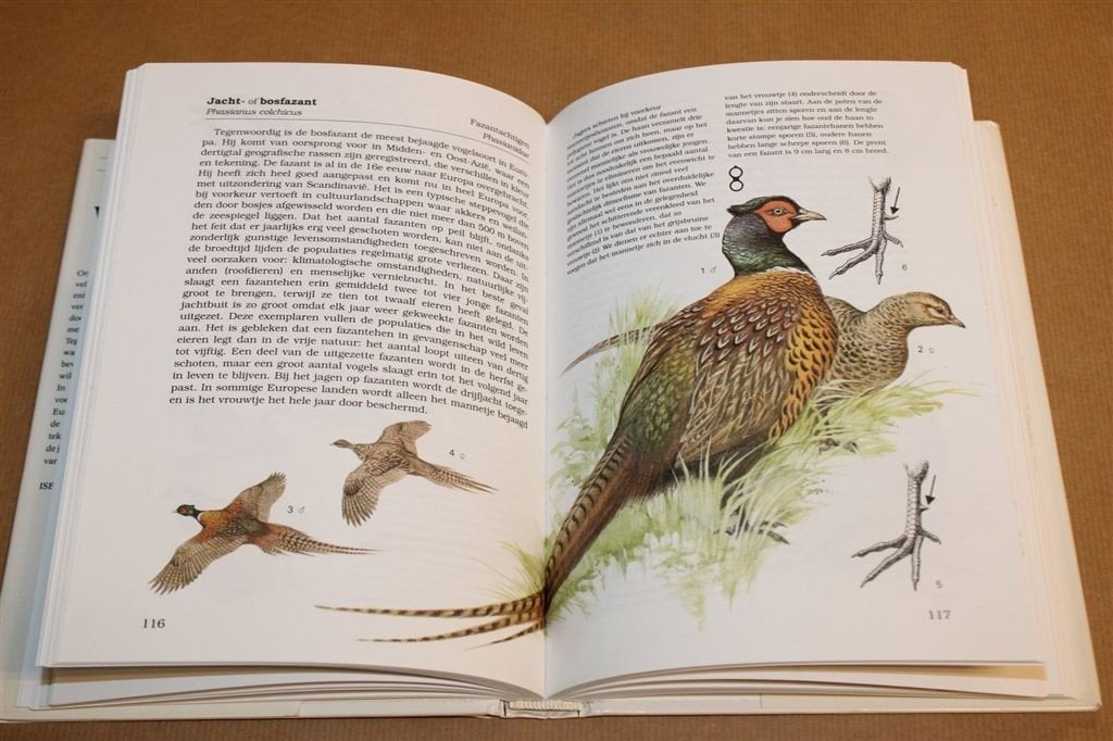 Wilde Dieren in Europa — Naslagwerk Fauna & Jacht Rebo, Boeken, Ophalen of Verzenden, Gelezen, Overige diersoorten