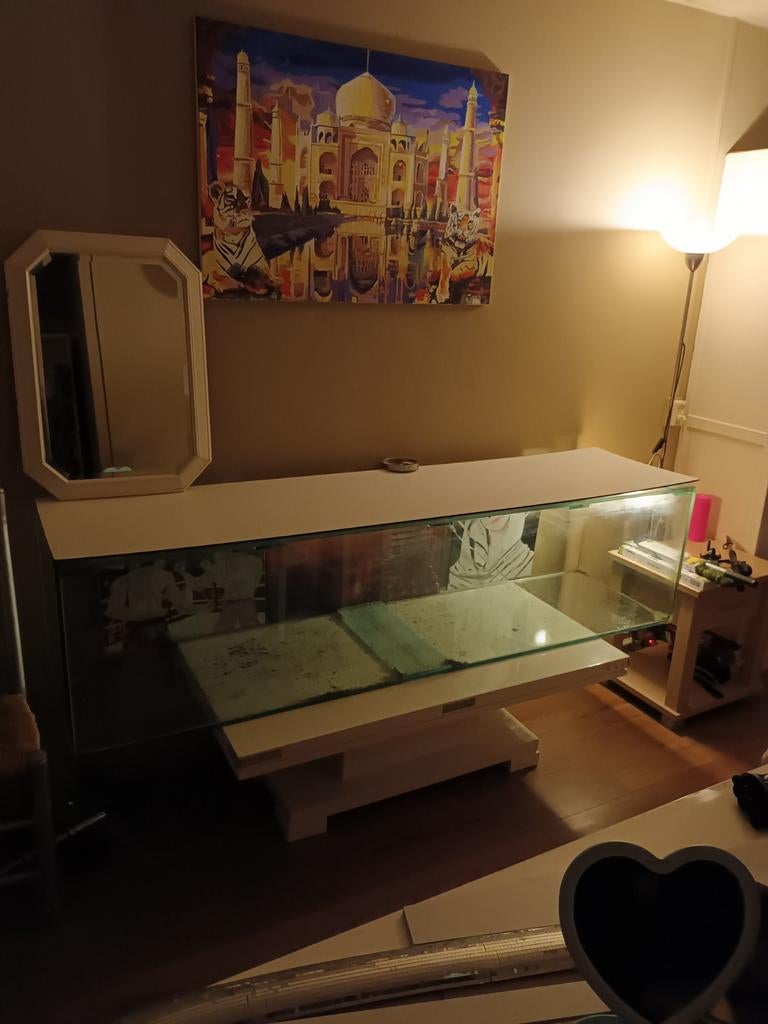 Grote aquarium te koop. 2 meter lang 50 cm breed ., Ophalen, Zo goed als nieuw