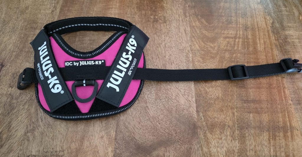 Julius K9 IDC Power tuigje halsband Baby 2 2XS Roze Fuchsia, Ophalen of Verzenden, Nieuw, Hondenriem-accessoire