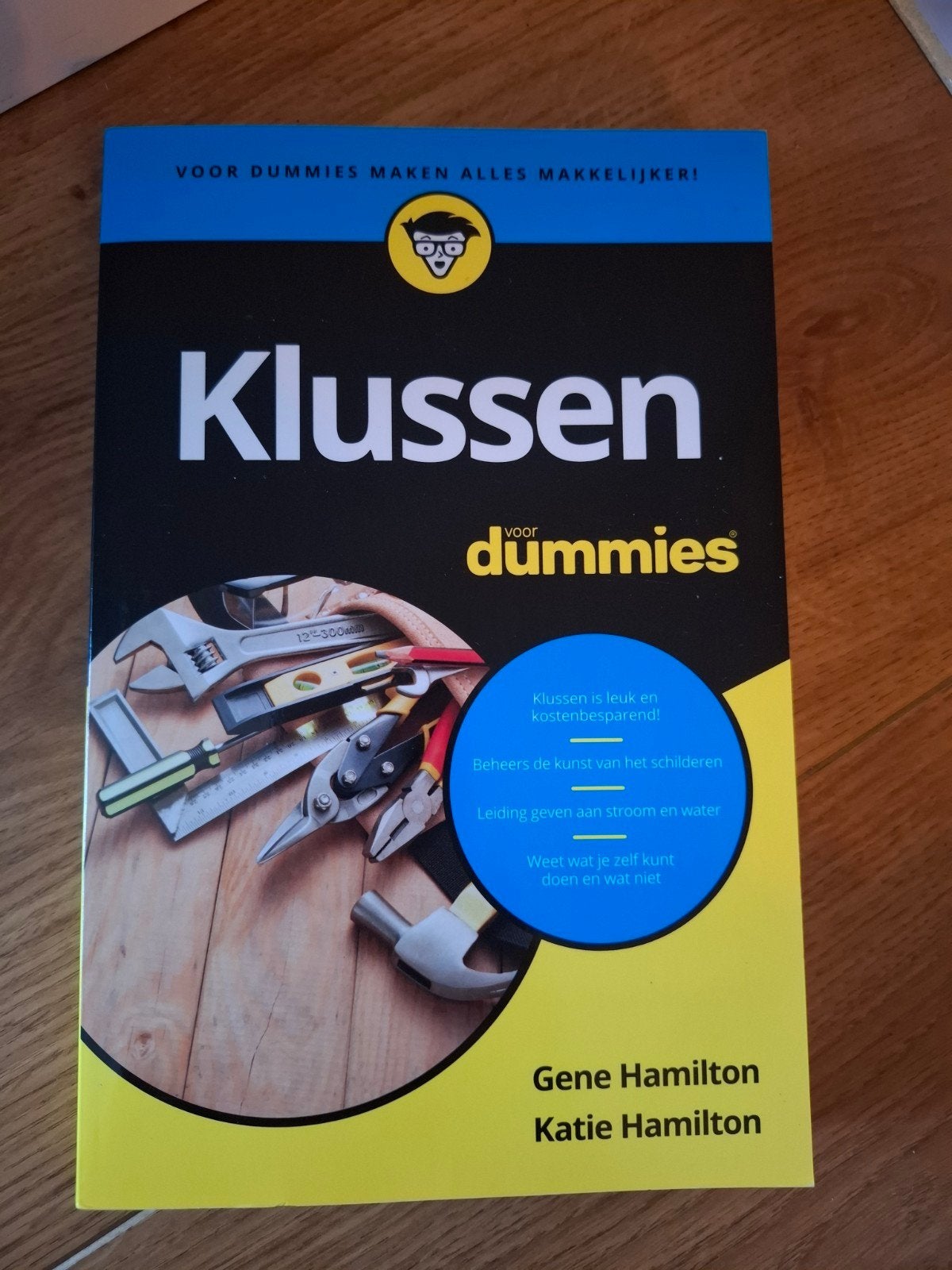 Klussen voor Dummies - Handboek voor elke klusser, Boeken, Ophalen of Verzenden, Zo goed als nieuw, Overige onderwerpen, Gene Hamilton en Katie Hamilton