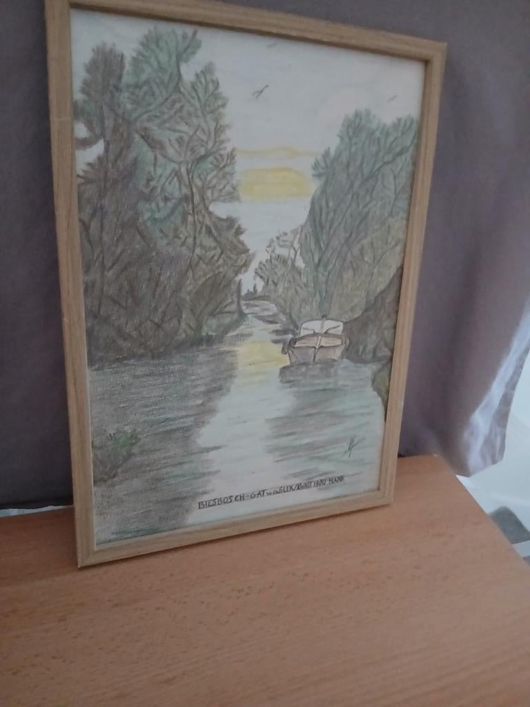 Biesbosch tekening gemaakt met Aquarel potlood, Antiek en Kunst, Kunst | Tekeningen en Foto's, Ophalen of Verzenden