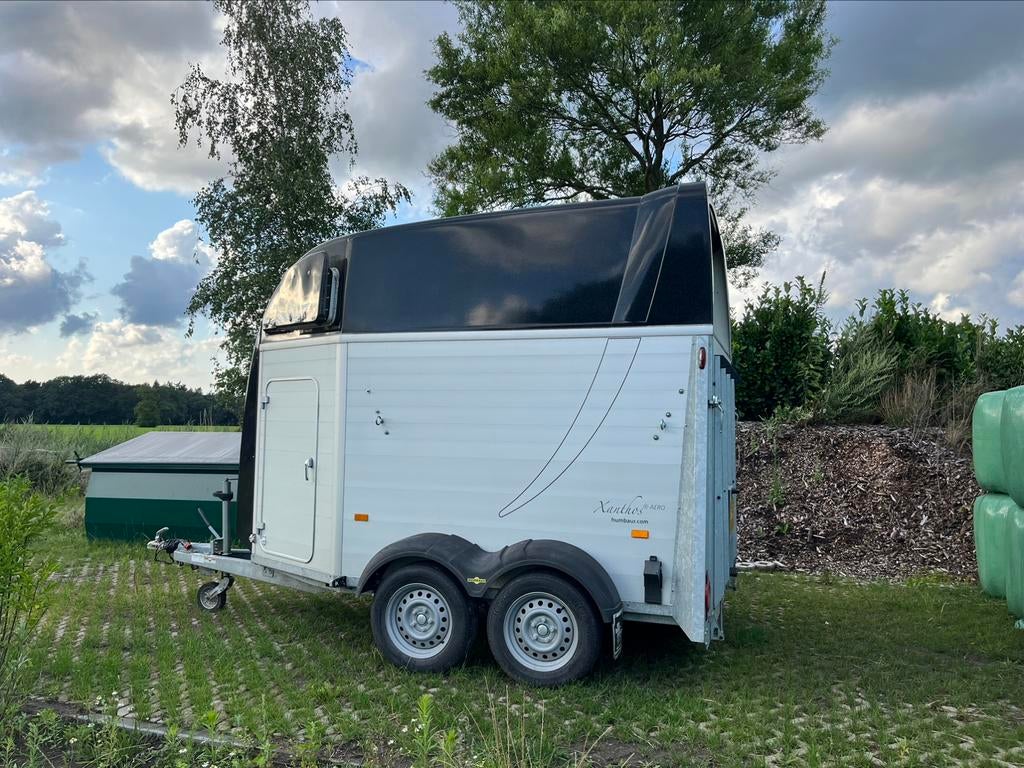 Te huur: fijne, degelijke Humbaur 2-paardstrailer (huren), Ophalen, Zo goed als nieuw, Aluminium, 2-paards trailer