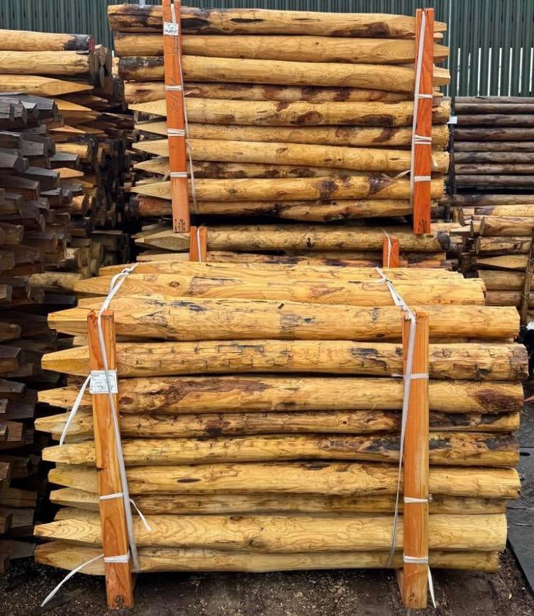 Kastanje palen afrastering schutting erfscheiding terrastuin, Tuin en Terras, Palen, Balken en Planken, Nieuw, Palen, Ophalen of Verzenden