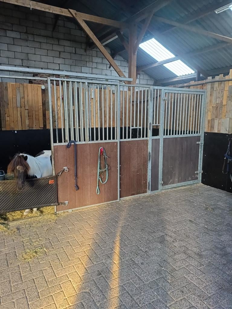 Stal obv volpension voor Shetlander of kleine A pony