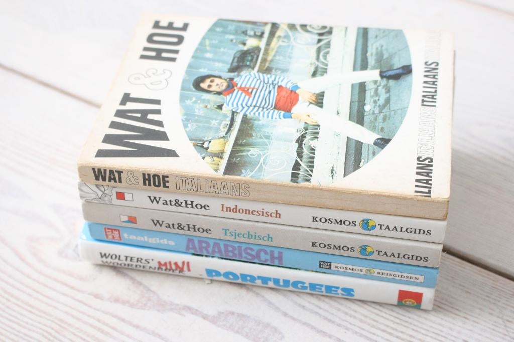 Taalgids Italiaans Portugees Arabisch Tsjechisch Indonesisch, Boeken, Woordenboeken, Verzenden, Gelezen, Overige uitgevers, Italiaans