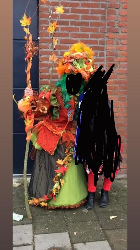 Carnavalspak handgemaakt maat XS/S, Kleding | Dames, Carnavalskleding en Feestkleding, Ophalen of Verzenden, Zo goed als nieuw