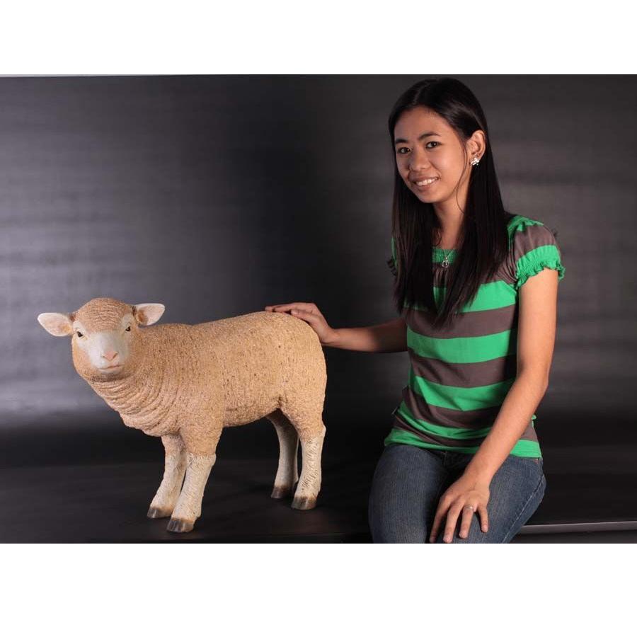Standing Merino Lam – Schaap Lengte 62 cm