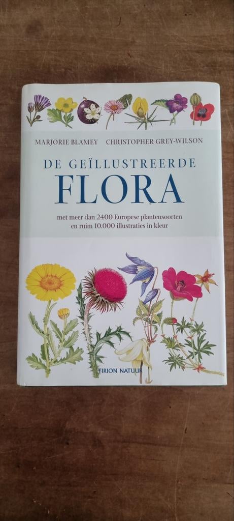Geïllustreerde Flora - Marjorie Blamey, Boeken, Ophalen of Verzenden, Zo goed als nieuw, Bloemen, Planten en Bomen, Marjorie Blamey