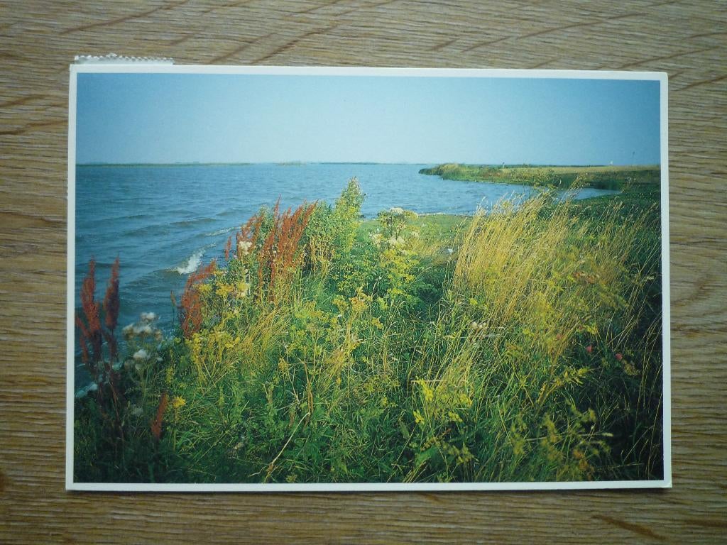 Art unlimited kaart Lauwersmeer Groningen Martin Kers, Ophalen of Verzenden, Voor 1920, Groningen