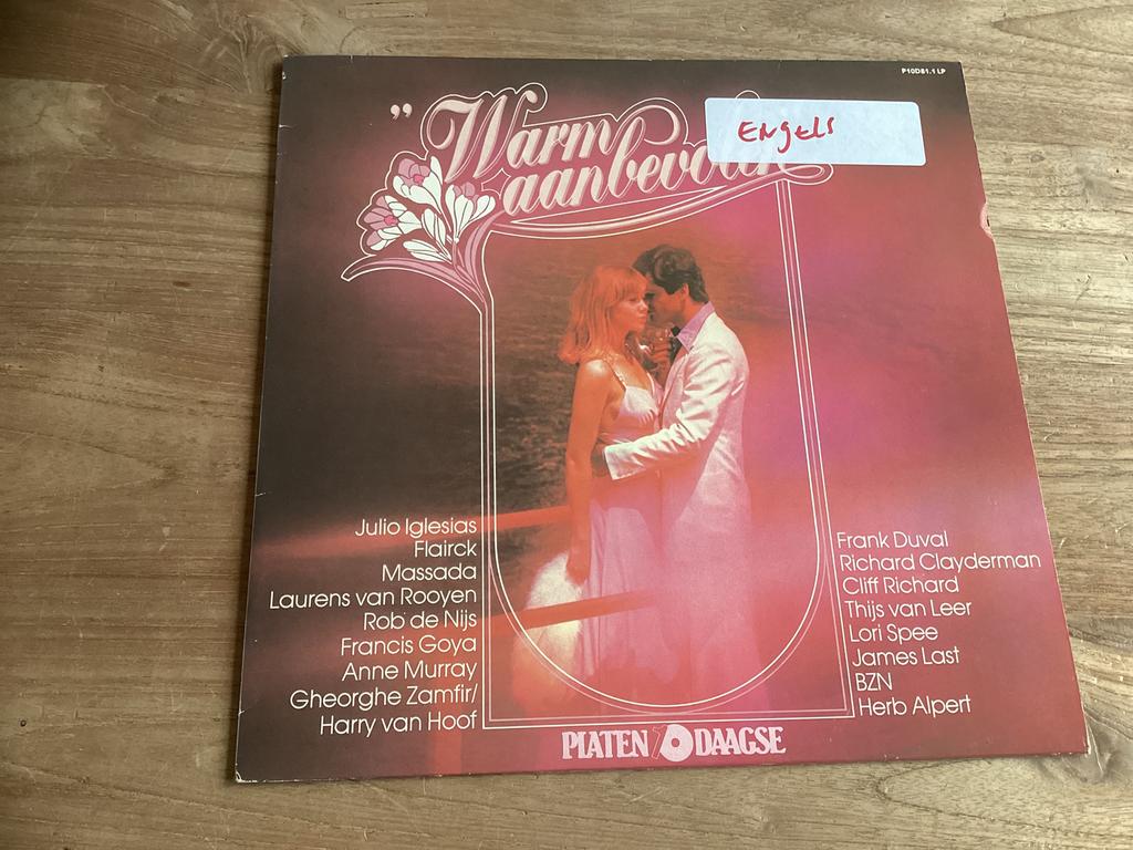 Lp Warm aanbevolen, Ophalen of Verzenden, Gebruikt, 12 inch