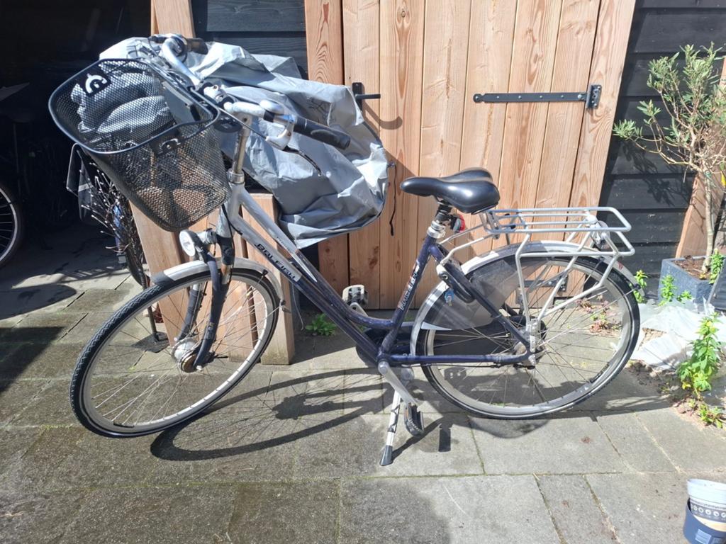 Raleigh damesfiets met 7 versnellingen en mand, Velgrem, Versnellingen, Ophalen, Overige merken