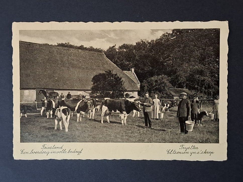 Boerenleven 1 Friesland Een boerderij in volle bedrijf 1933, Verzenden, 1920 tot 1940, Gelopen, Friesland