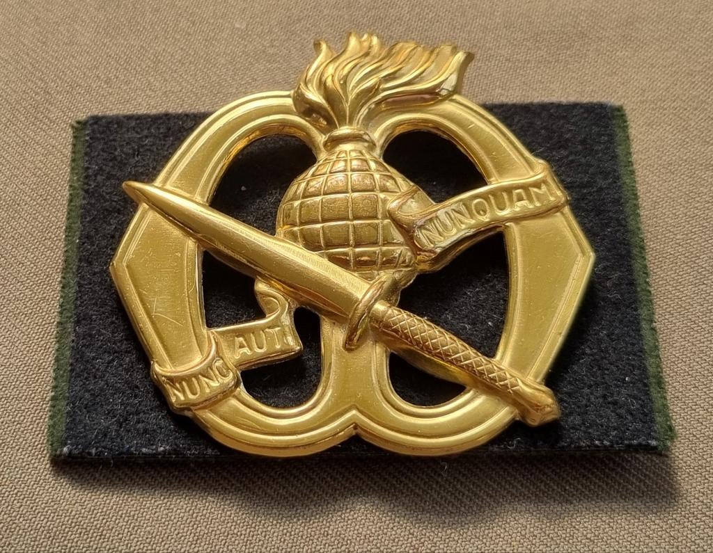 Baretembleem korps commandotroepen (natosluiting), Verzamelen, Ophalen of Verzenden, Landmacht, Nederland, Embleem of Badge