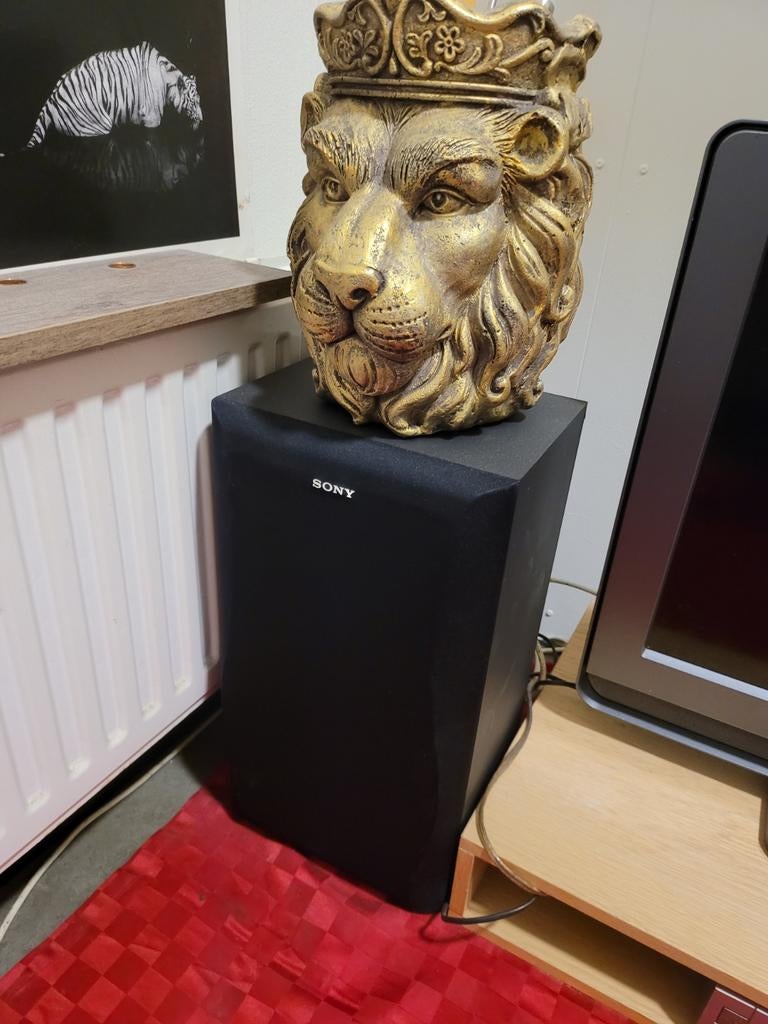 Sony ss a490 speakers, Ophalen of Verzenden, Zo goed als nieuw